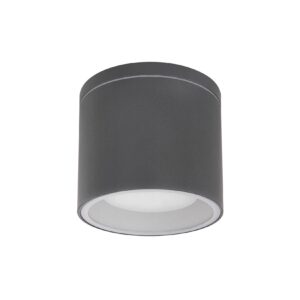 Außenleuchte Deckenlampe