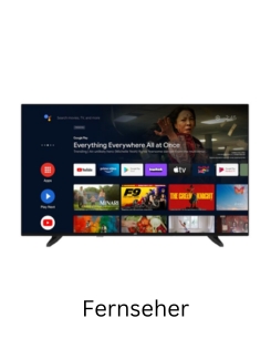 Fernseher